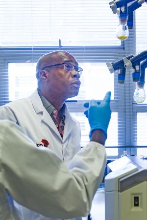 Leading researchers OP2